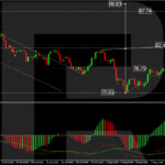 roboforex2024081311