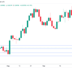 marketpulse2024101821