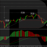 roboforex2024100211