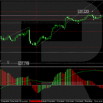 roboforex2024101511